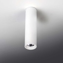 Surface-mounted light 6789 MLN Haul 40 AC CL, white